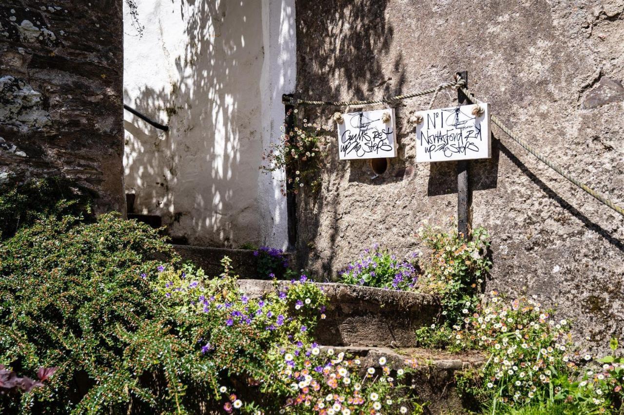 Gulls Rest - Charming Cottage In The Heart Of Historic Dartmouth Exterior photo